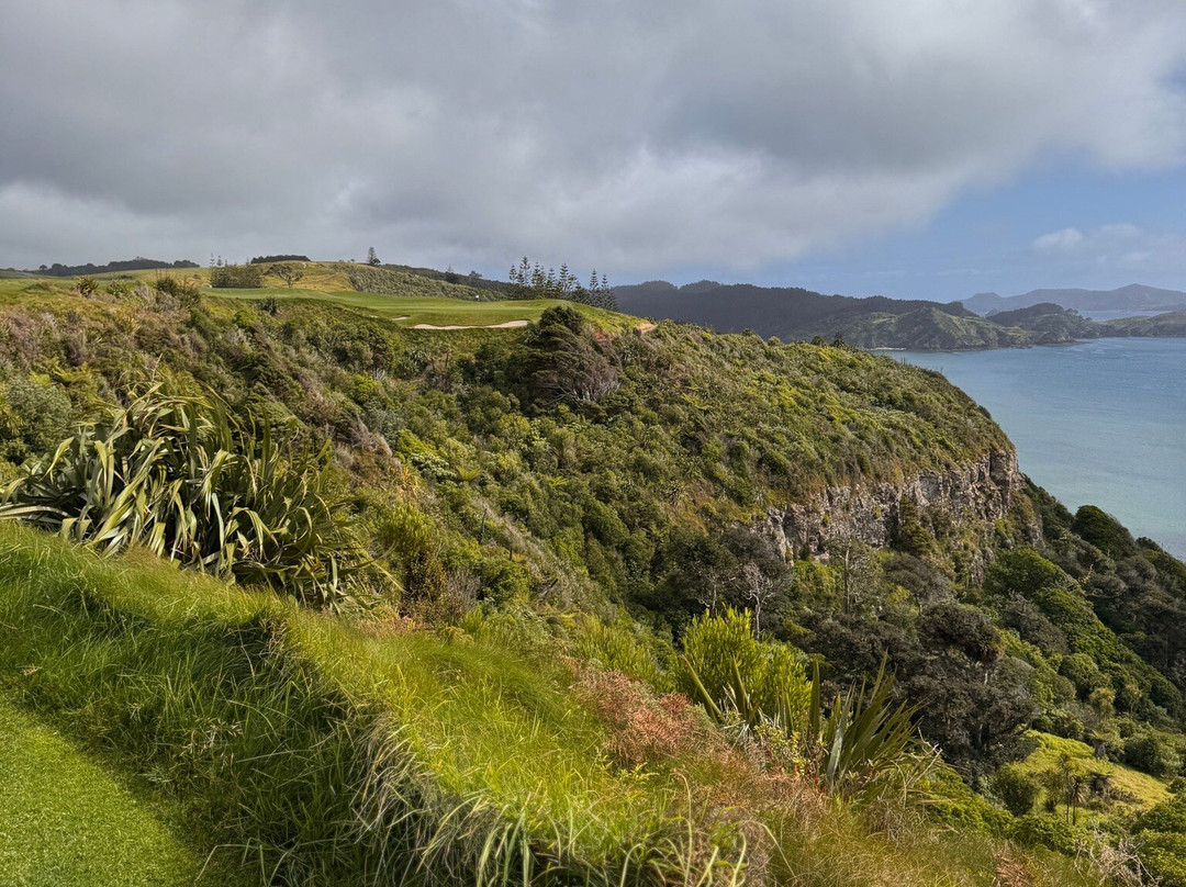 Kauri Cliffs Golf Course景点图片