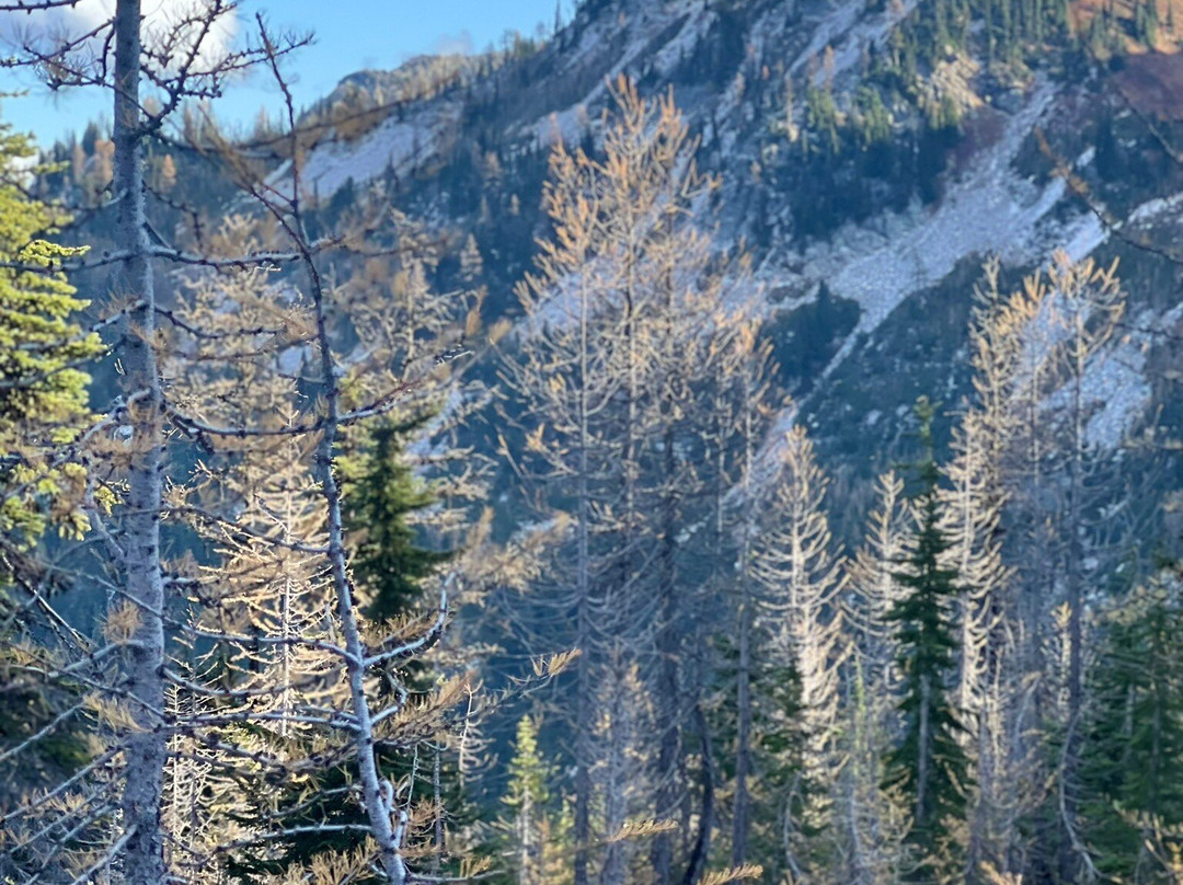 Maple Pass Loop景点图片