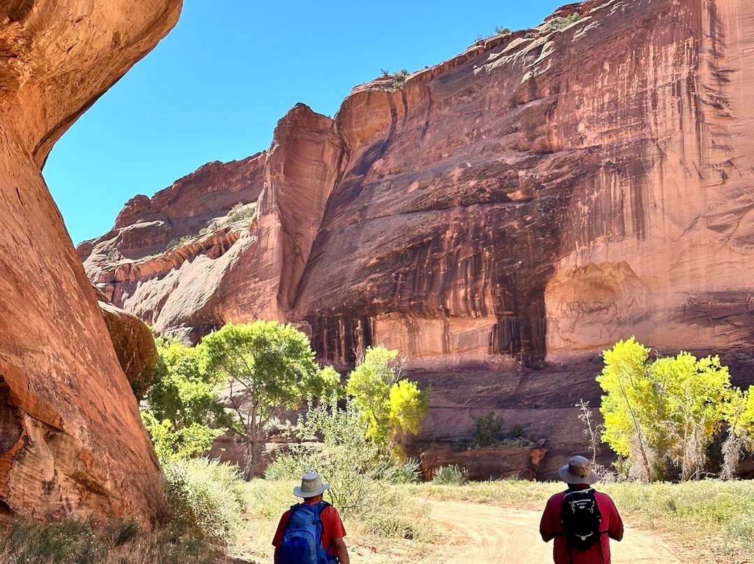 Canyon De Chelly Tours, Llc.-Chinle必去景点