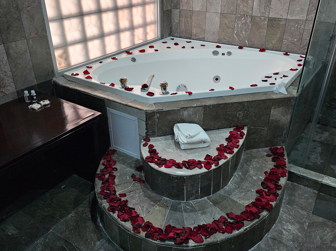 Hotel Arroyo De La Plata主图