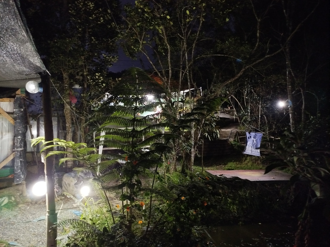 Polichinela Teatro景点图片