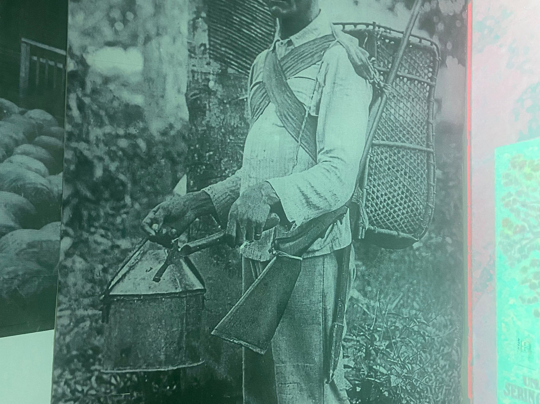 Museu da Borracha-Rio Branco必去景点