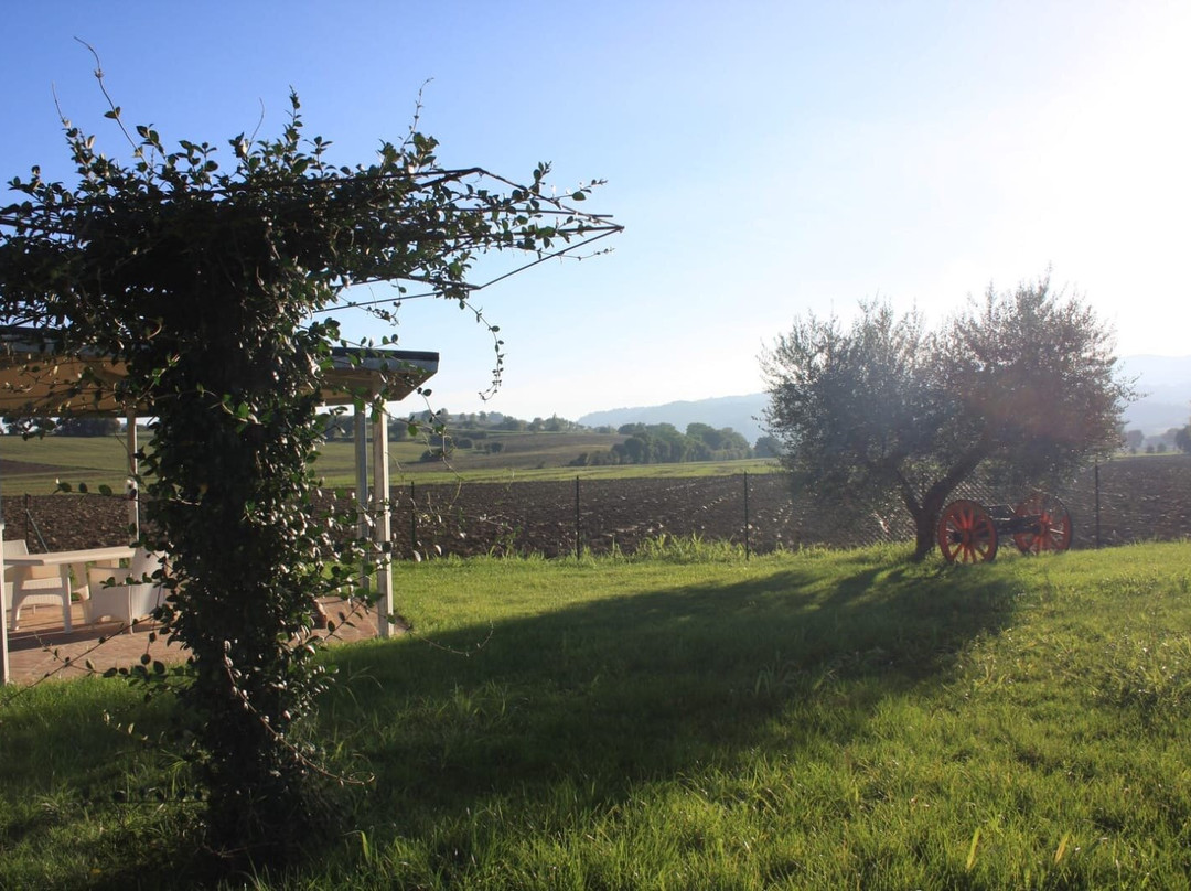 Agriturismo La Tana del Lupo主图