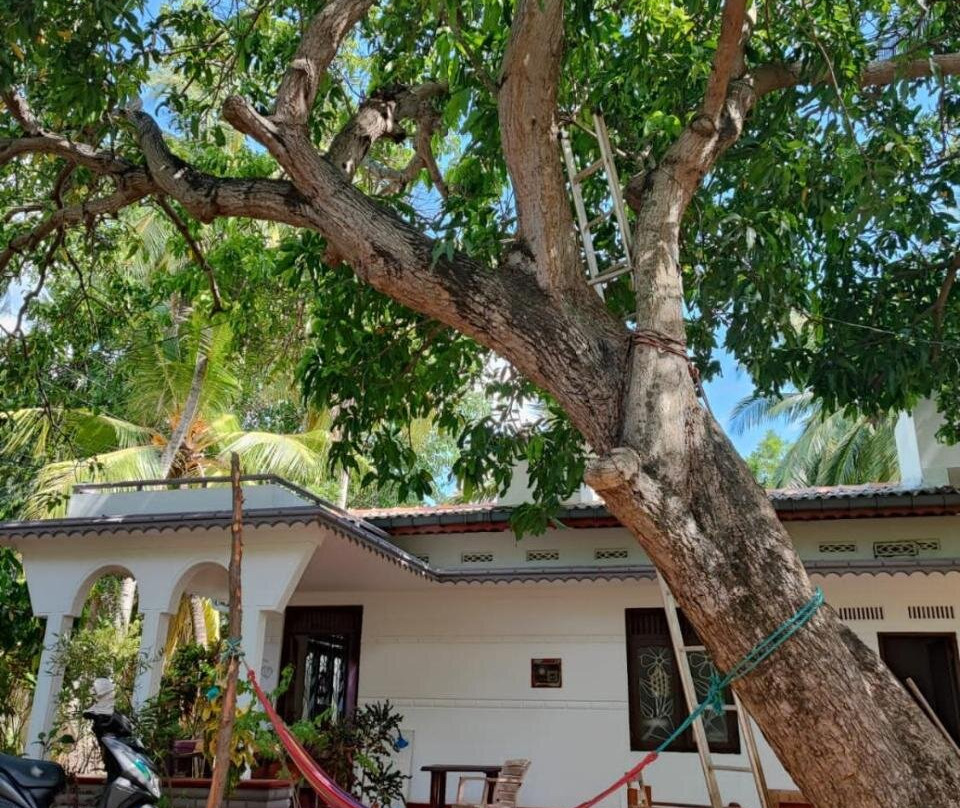 Sambaltivu酒店住宿-The White House