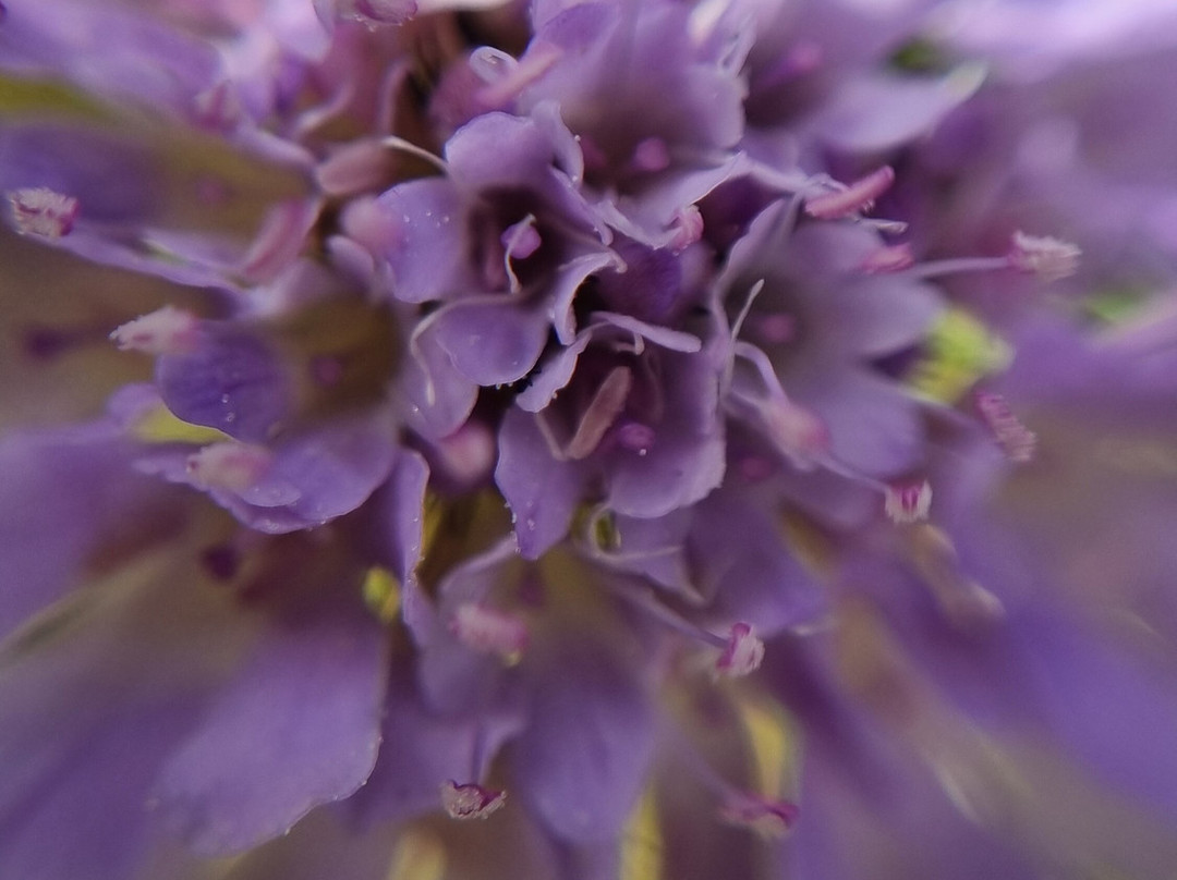 Fynbos Trail-干斯拜必去景点