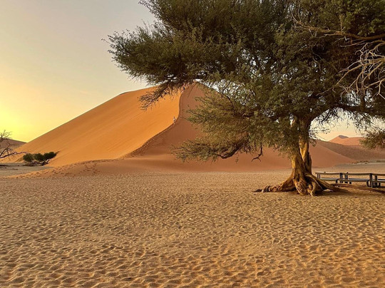 Goldwing Tourism-温德和克必去景点