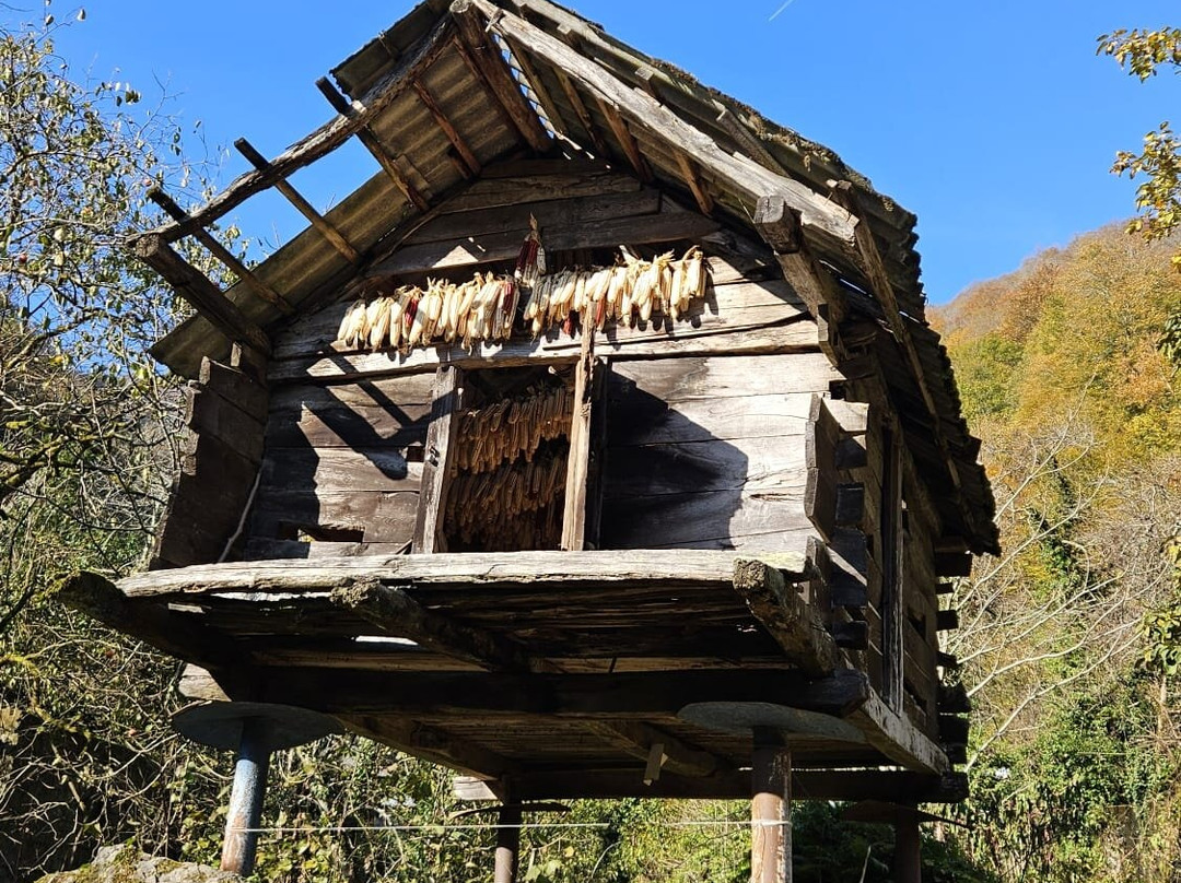 Pin Georgia-巴统必去景点