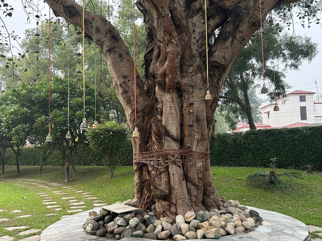 Naturoville Wellness Resort Rishikesh - Surrounded by Nature, Rooted in Wellness主图