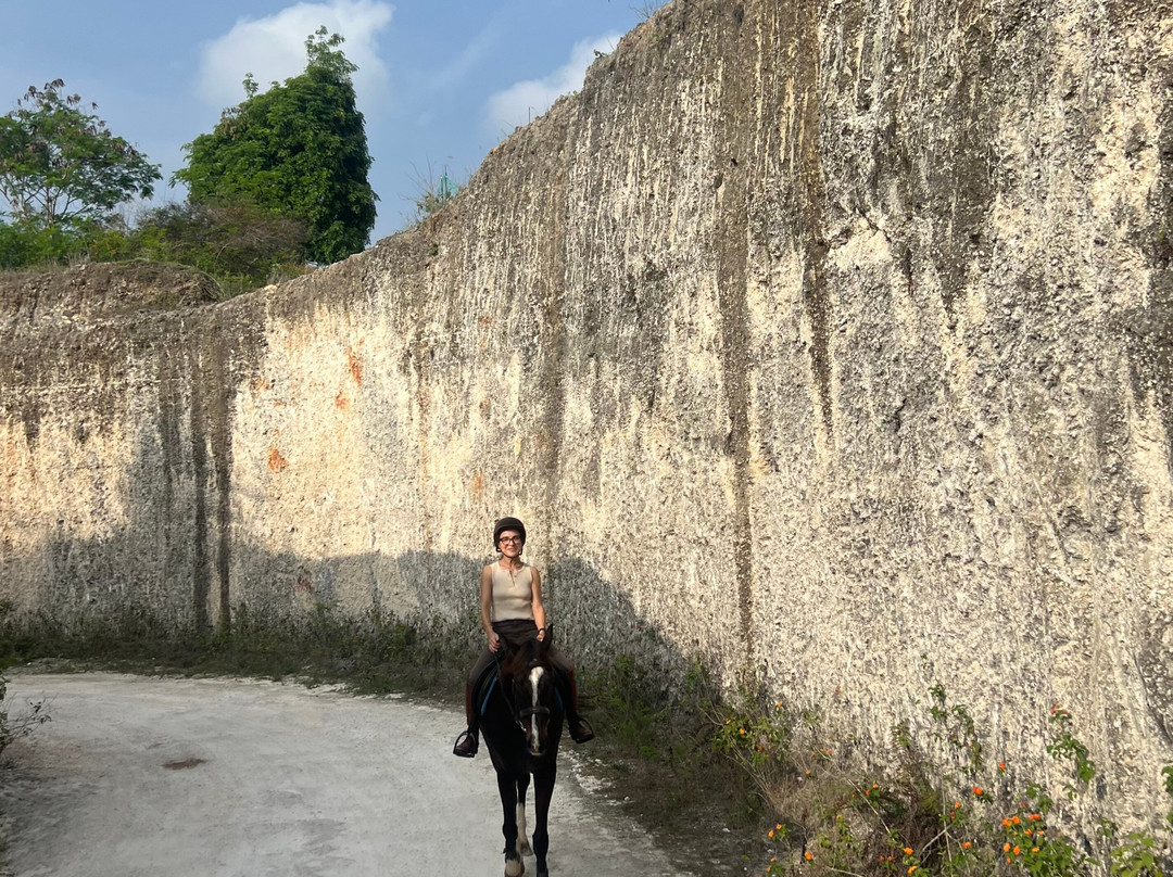 Royal Sporthorse Bali-Kutuh必去景点