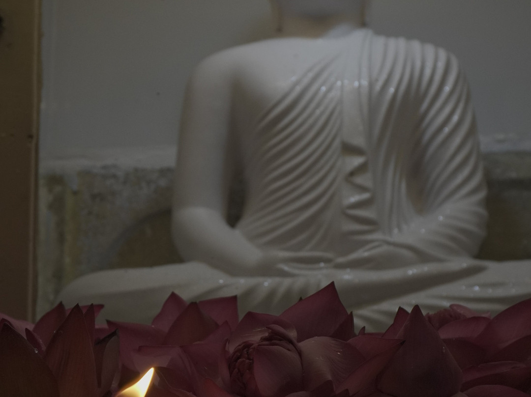 Ridee Viharaya (silver Temple)景点图片