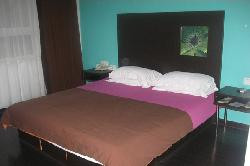 驿居·清雅酒店主图