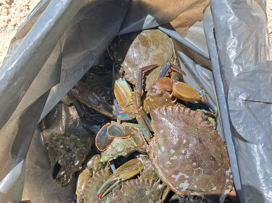 Mangue Riders-莫罗圣保罗必去景点