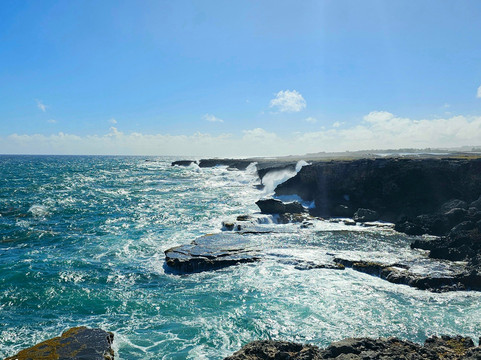 Ward's Tours Ltd.-布里奇顿必去景点