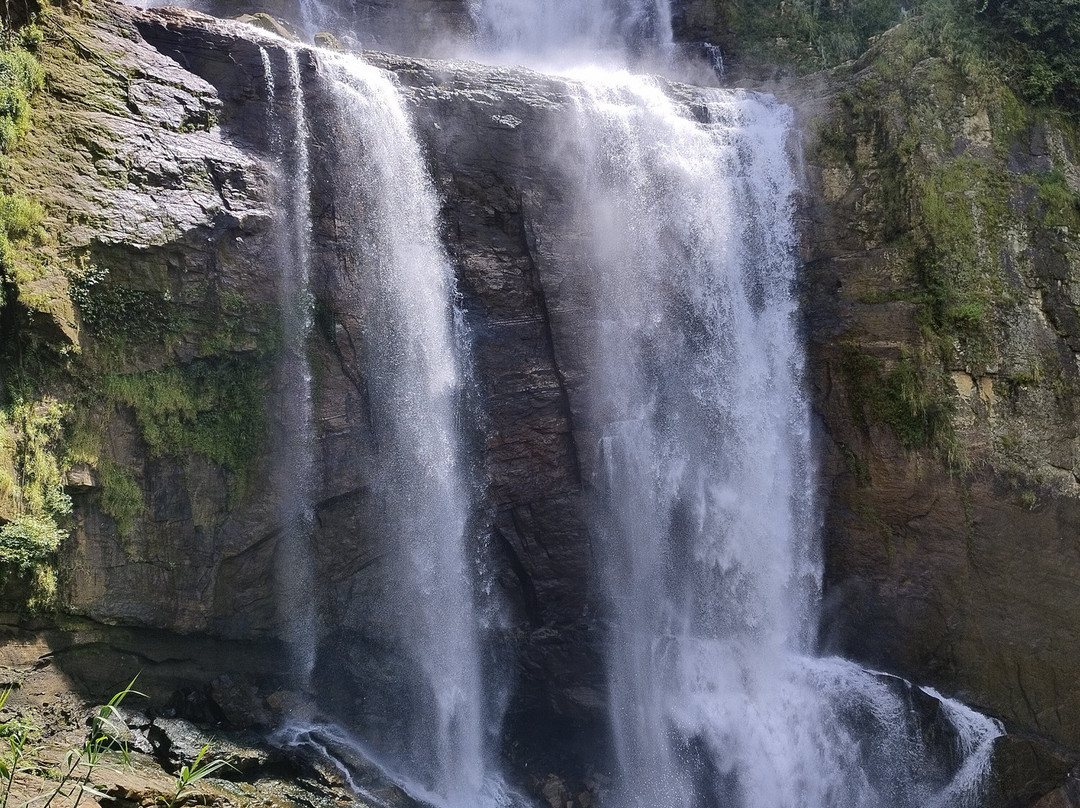 Freedom Lanka Tours-卡图纳耶克必去景点