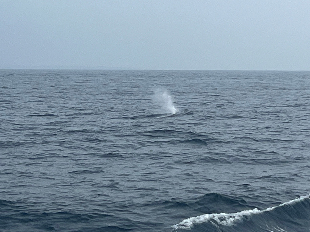 Nathalia Cruise-美蕊沙必去景点