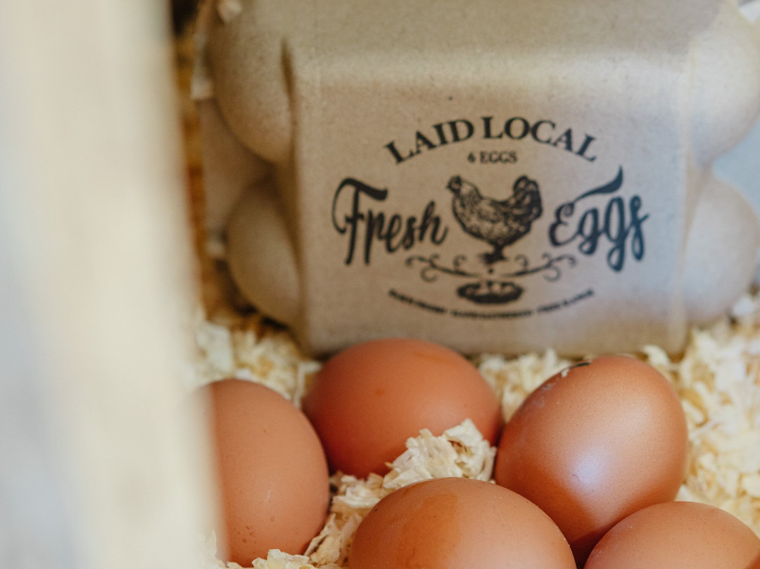 1661 Farm & Garden-新肖勒姆必去景点