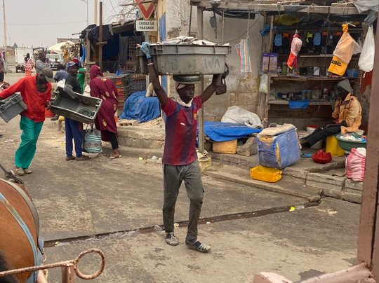 Agsil Senegal Travel Tour-达喀尔必去景点