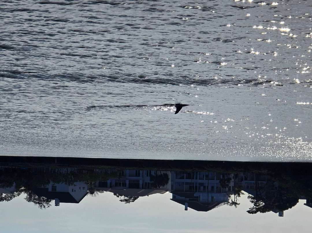 Spongorama's Cruise Lines-塔彭斯普林斯必去景点