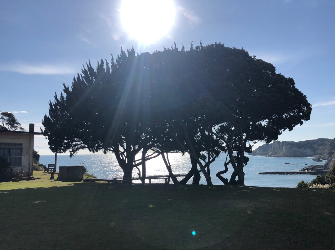Obamahachiman Shrine-夷隅市必去景点