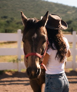 Armadillo Mágico餐厅图片