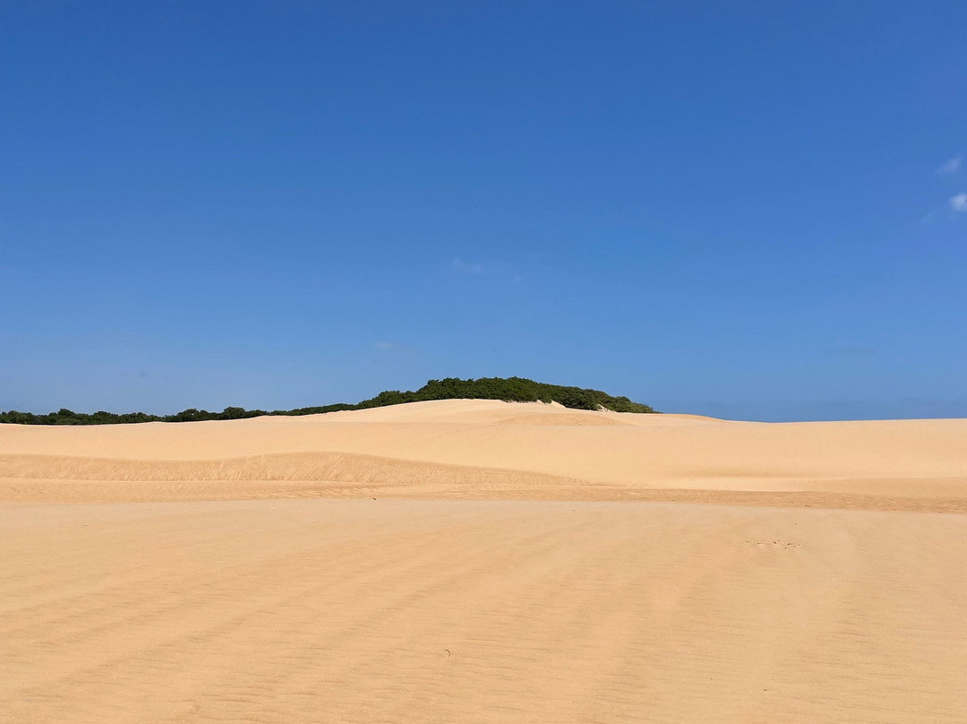 Foz do Rio São Francisco Leno Delta-Piacabucu必去景点
