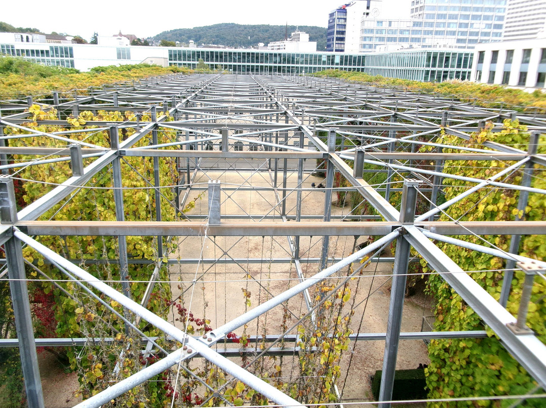 MFO-Park-苏黎世必去景点