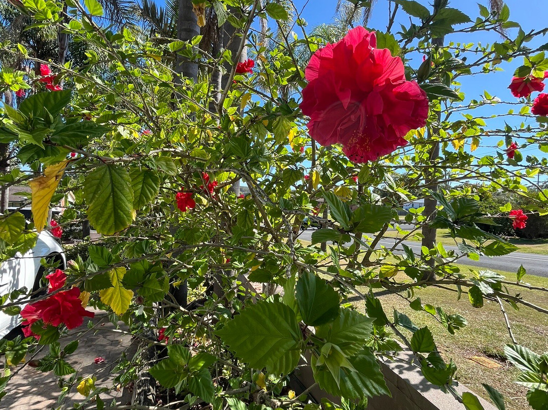 乌拉杜拉客房楼主图