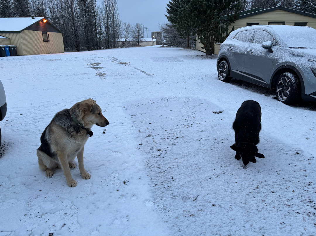 Hotel Hjarðarból主图