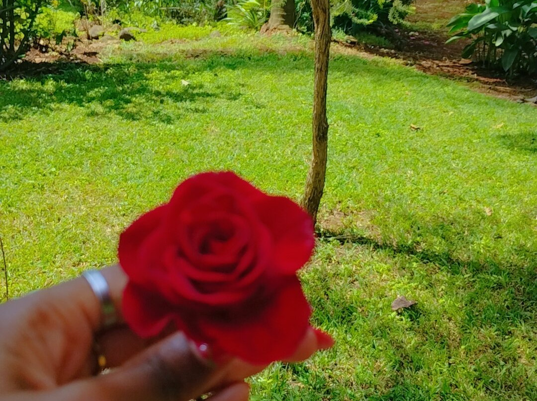 Izaak Walton Inn Hotel主图