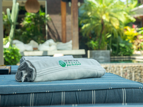 The White Palms of Nosara