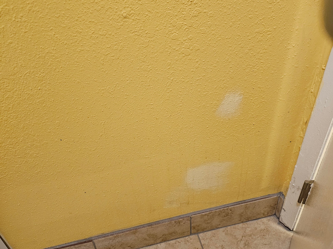 Super 8 by Wyndham Jackson主图