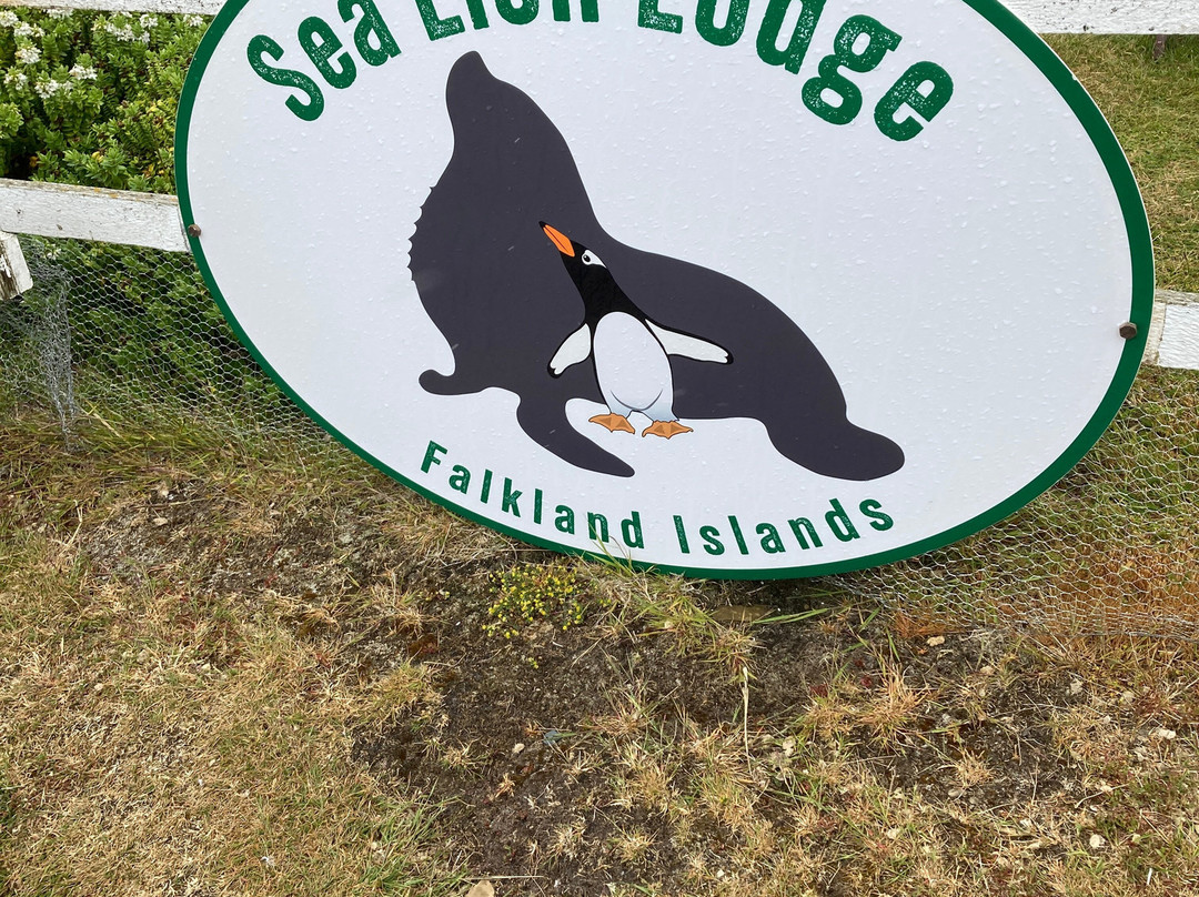 Sea Lion Island景点图片