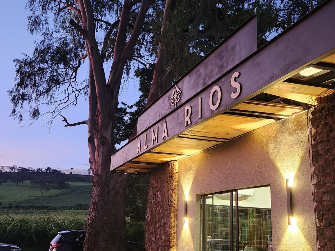 Vinícola Alma Rios景点图片