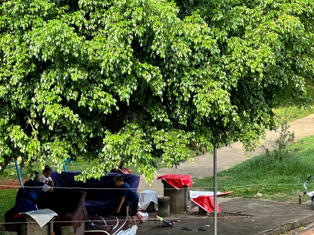 Vinicola Floresta São Pedro-Espirito Santo Do Pinhal必去景点