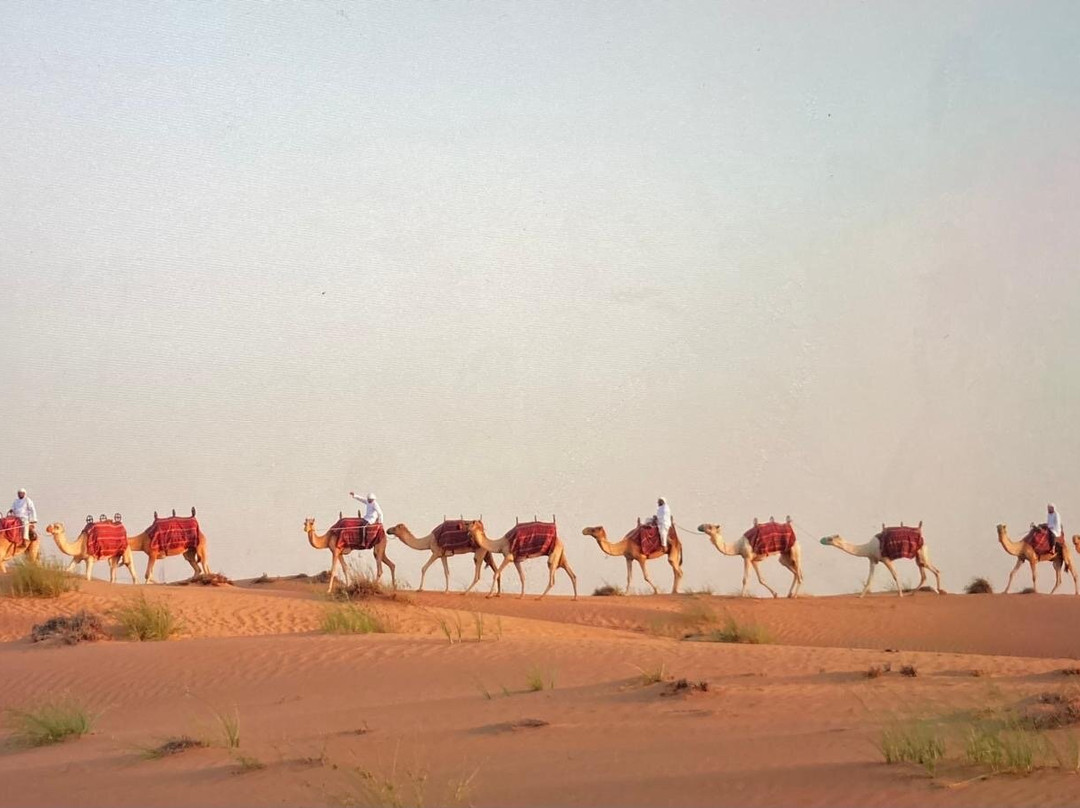 Platinum Adventure Tours-迪拜必去景点