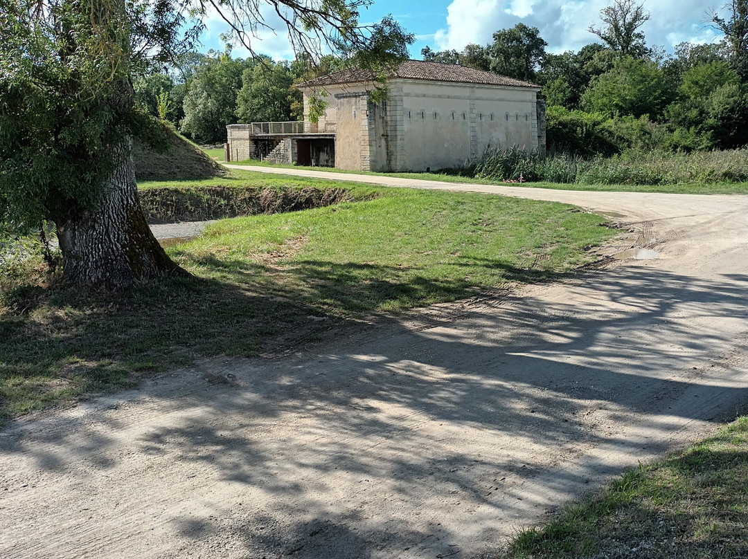 Fort Medoc景点图片