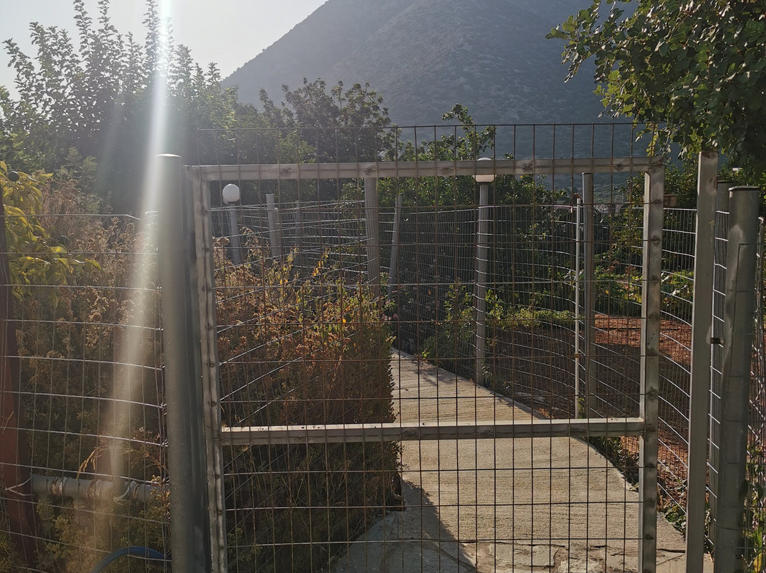 Mitsis Bali Paradise主图