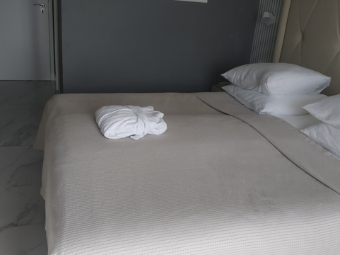 高级公园酒店主图