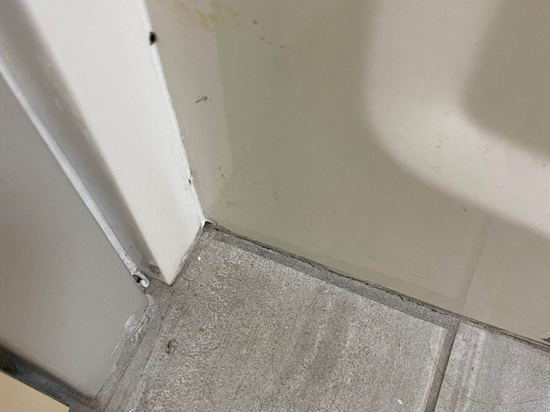 Holiday Inn Express Williamston By IHG主图