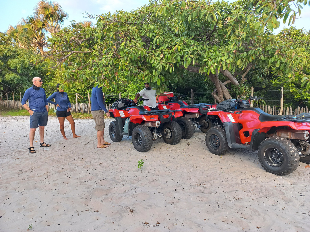 Jeri Norte Passeios-杰里科科拉必去景点