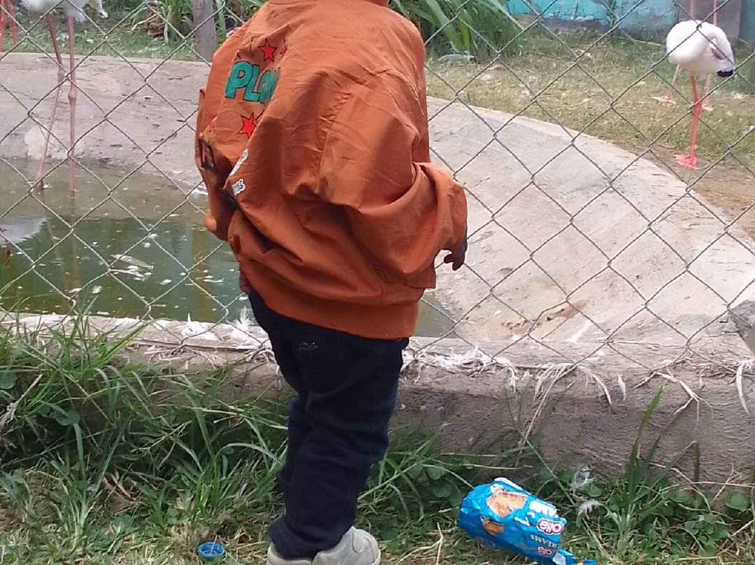 Ifisi Zoo-姆贝亚必去景点