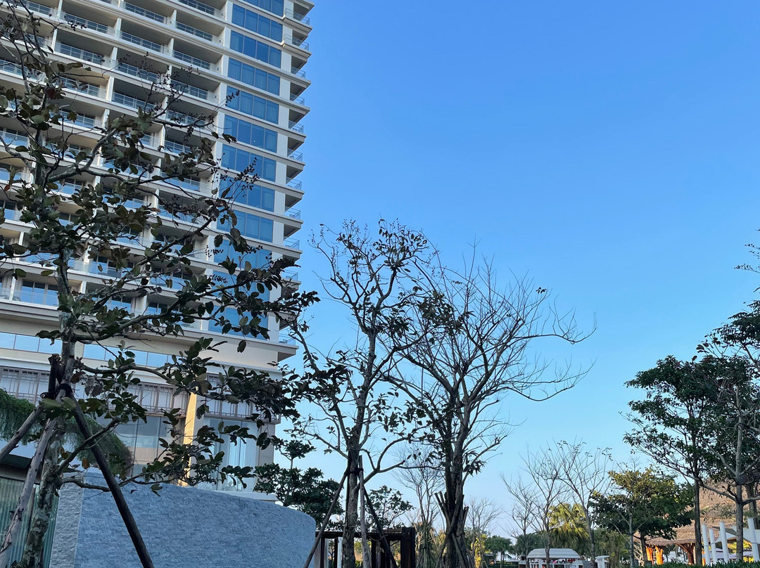 Hoiana Residences主图