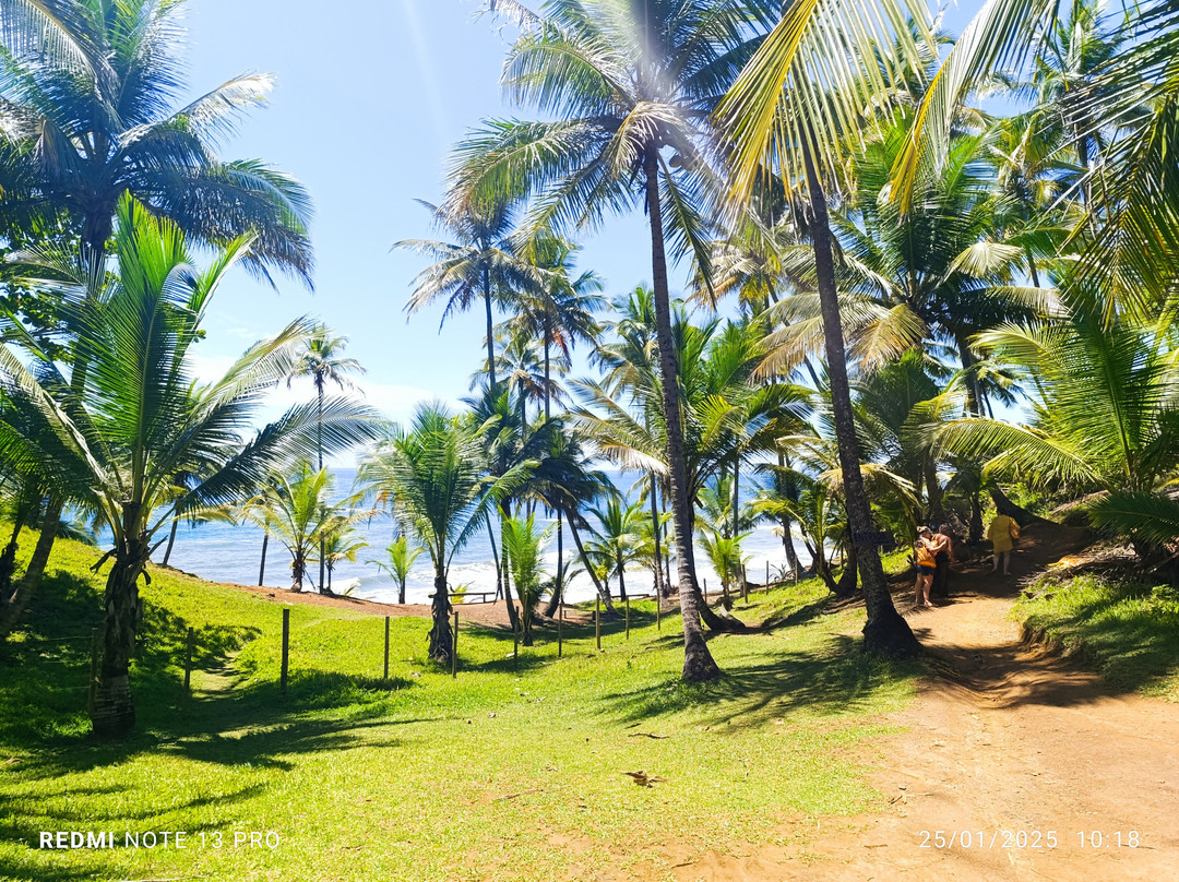 Havaizinho Beach-Itacare必去景点