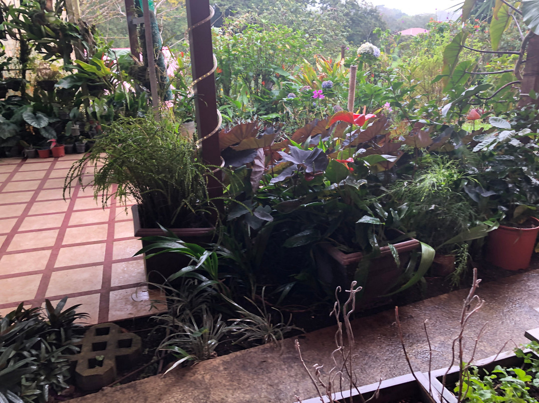 Casa Donna Rosa Bed And Breakfast主图