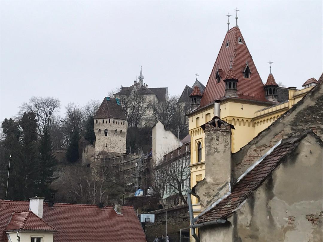 Centrul Istoric Sighișoara景点图片