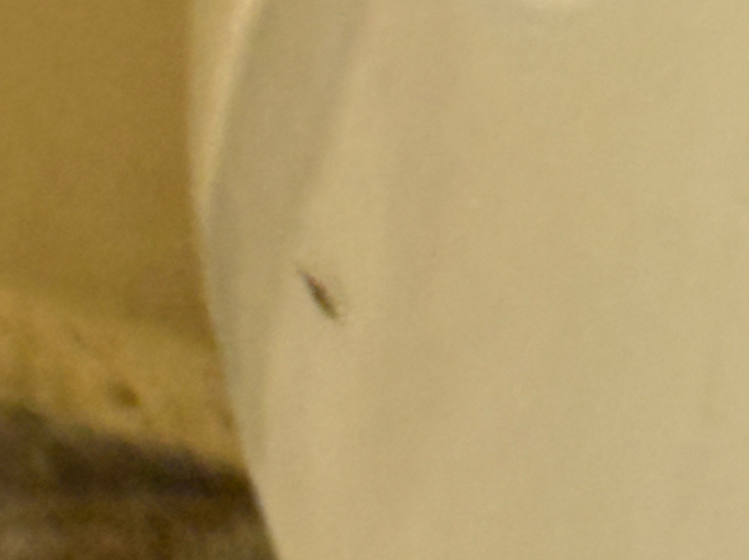 Countryside Inn & Suites主图