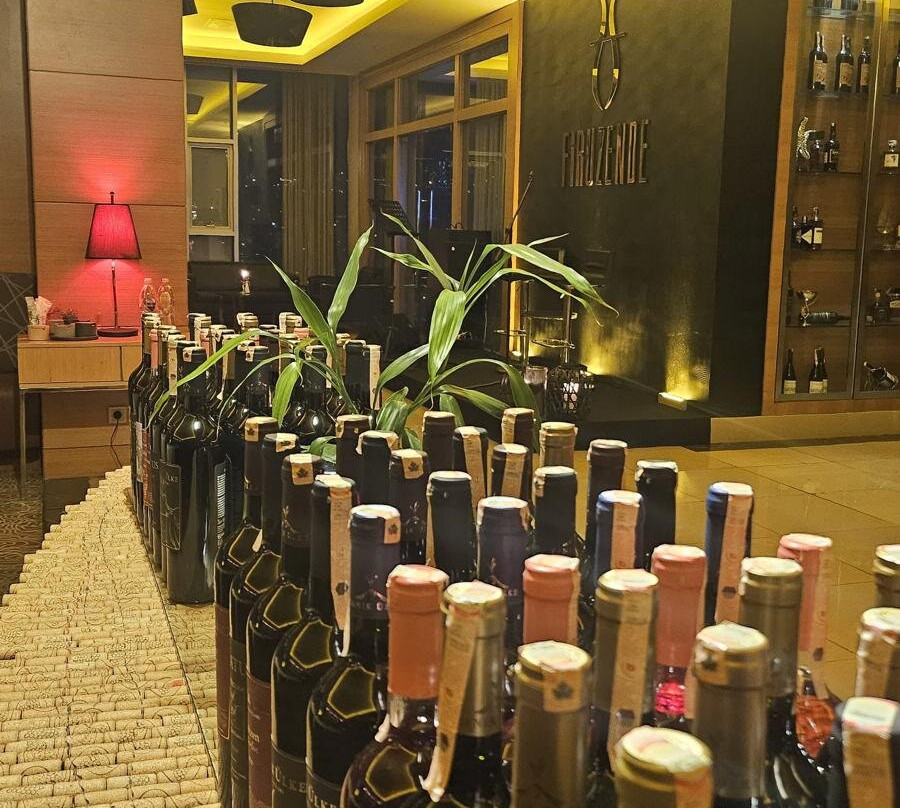 Anemon Samsun Hotel主图