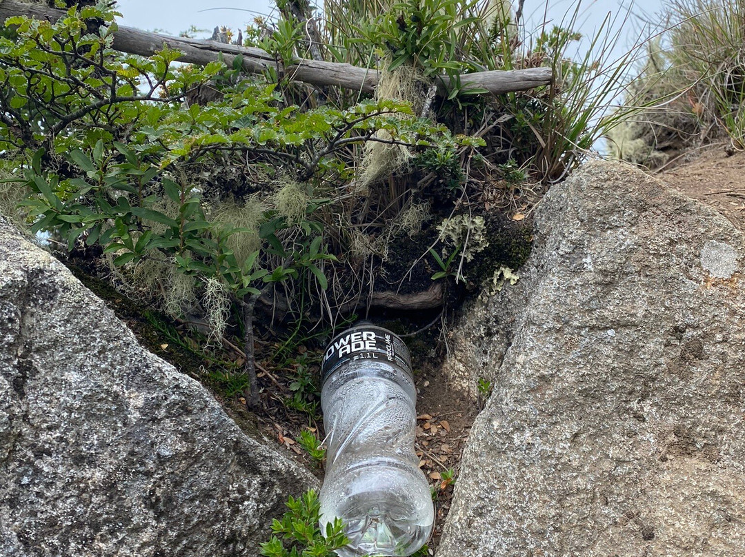 Parque Pico Toribio-Futrono必去景点