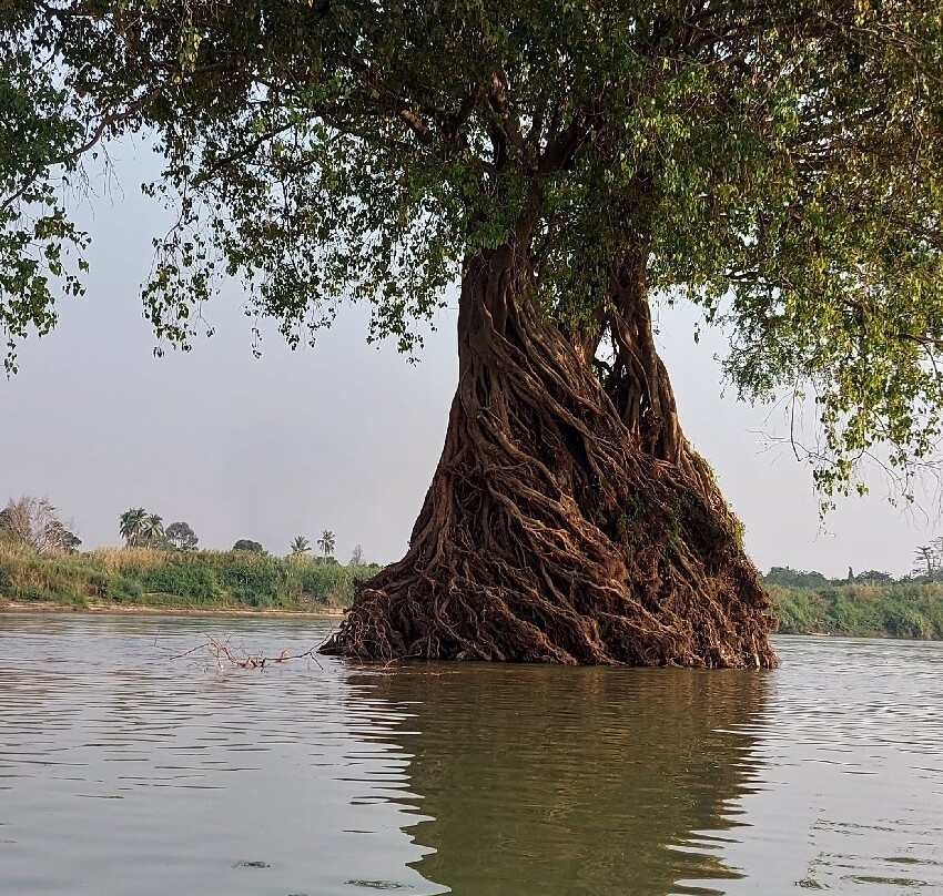 Mekong Ramsar Trail-Stung Treng必去景点