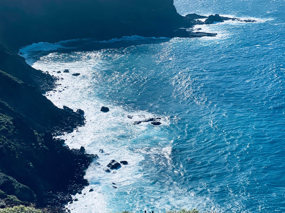 Vidyamor Yoga Retreats Canary Islands景点图片